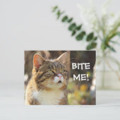 Funny Sassy Cat met Attitude Bite me Briefkaart (Staand voorkant)
