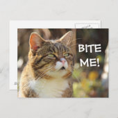 Funny Sassy Cat met Attitude Bite me Briefkaart (Voorkant / Achterkant)