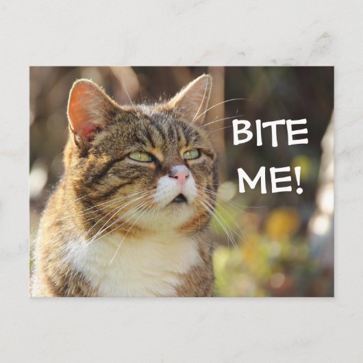Funny Sassy Cat met Attitude Bite me Briefkaart (Voorkant)