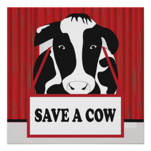Funny Save a Cow 20x20 Poster Perfect Poster