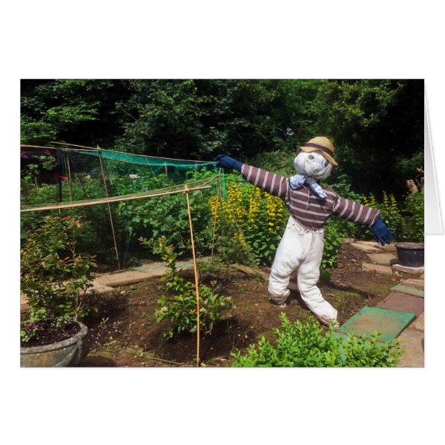 Funny scarecrow (Voorkant Horizontaal)