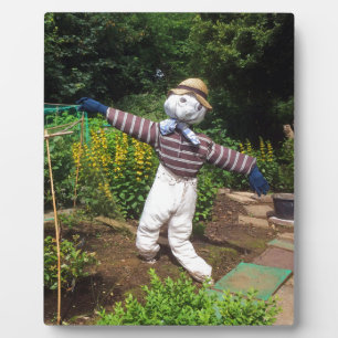 Funny scarecrow fotoplaat