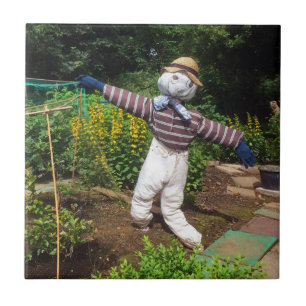 Funny scarecrow tegeltje