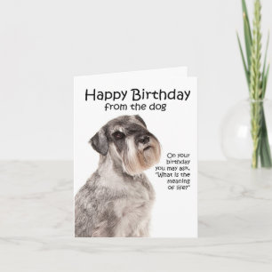 Funny Schnauzer Carte d'anniversaire