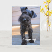 Funny Schnauzer Carte d'anniversaire (Fleur jaune)