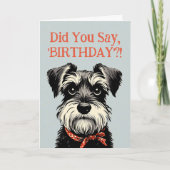 Funny Schnauzer Verjaardagsgroeten Kaart (Voorkant)