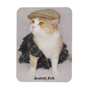 Funny Scottish Fold Cat/Kat in a Kilt Magneet