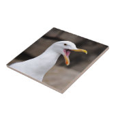 FUNNY Seagull Tegeltje (Zijkant)