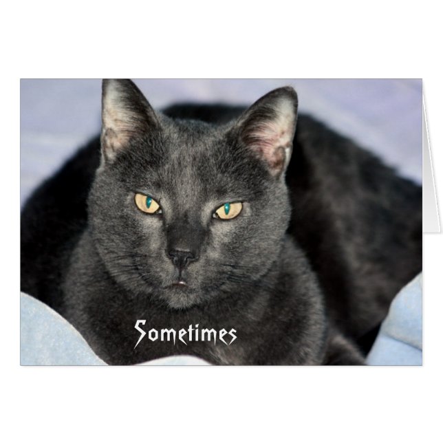 Funny Shake My Head-kaart (Voorkant Horizontaal)