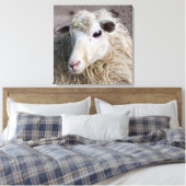 Funny Sheep Canvas Afdruk (Insitu (Slaapkamer))