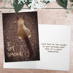 Funny Siamese Kitten Butt Foto van Birthday Kaart