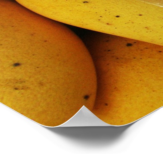 Funny Sign "Niet aanraken mango" Poster (Hoek)