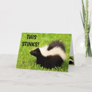 Funny Skunk Feel Better Kaart