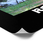 Funny Slaping Tiger (16x12), RETIREMENT Poster (Hoek)