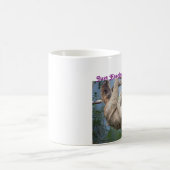 Funny Sloth Mok (Center)