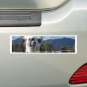 Funny Smiling Llama in Southern Oregon Bumpersticker (Op auto)
