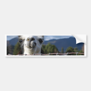 Funny Smiling Llama in Southern Oregon Bumpersticker