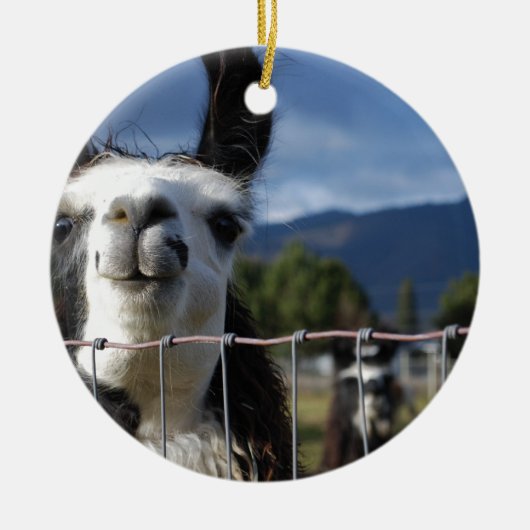 Funny Smiling Llama in Southern Oregon Keramisch Ornament (Voorkant)