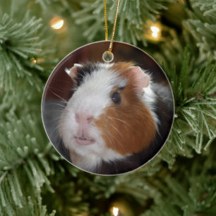 Funny, Smooth, Tricolor Guinea Pig Face Keramisch Ornament