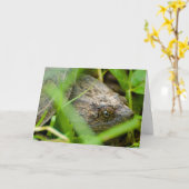 Funny snapping turtle belated birthday card kaart (Gele Bloem)