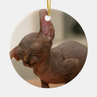 Funny sneezing sphynx kitten keramisch ornament