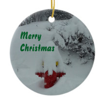 Funny Snow-cover Fire Hydrant