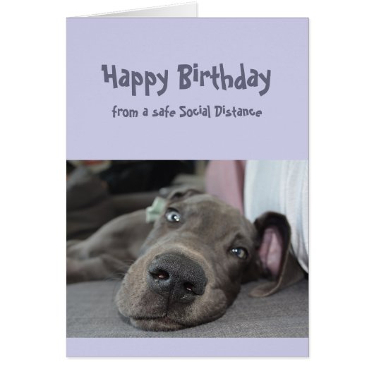 Funny Social Distance Birthday Great Dane Dog (Devant)