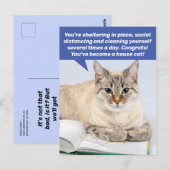 Funny Social Distancing House Cat Briefkaart (Voorkant / Achterkant)
