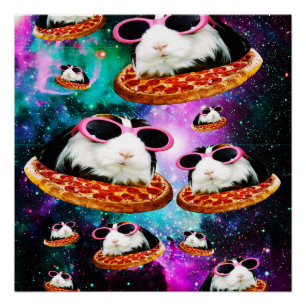 Funny space guinea perfect poster