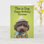 Funny speelgoed poodle-verjaardagskaart kaart (Gele Bloem)