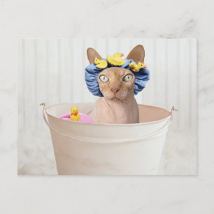 Funny Sphynx Cat in a Bathtub Briefkaart