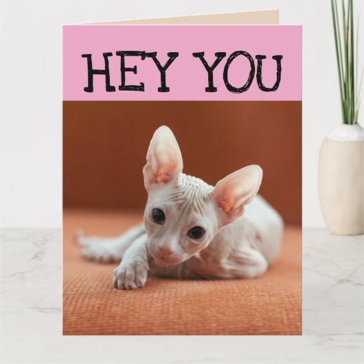 FUNNY SPHYNX CHAT GRANDE CARTE DE SALUT D'ANNIVERS (Devant)