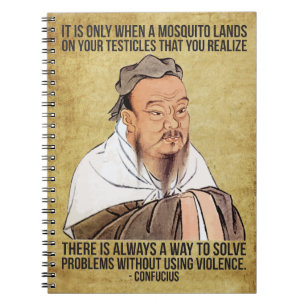 Funny Spiritueel Quote - Mosquito op testikels Notitieboek