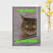 Funny Spooky Cat Halloween Kaart (Gele Bloem)
