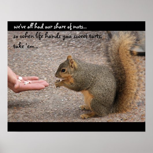 Funny Squirrel "Als het leven je zoete tarten geef Poster (Voorkant)