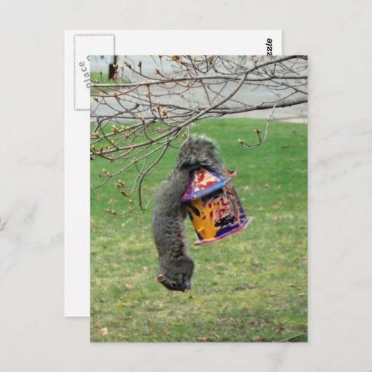 Funny Squirrel Briefkaart (Voorkant / Achterkant)