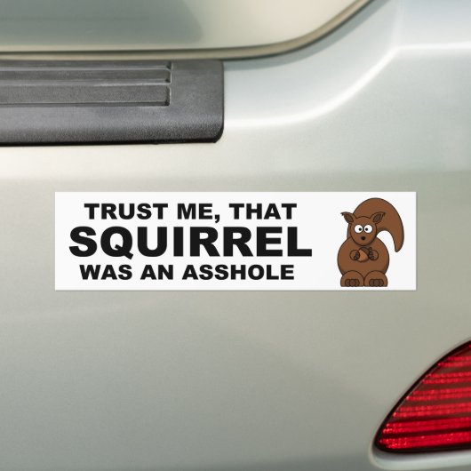 Funny squirrel bumpersticker (Op auto)