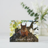 Funny Squirrel Cute Animals Hello There From Hi Feestdagenkaart (Staand voorkant)