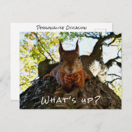 Funny Squirrel Cute Animals Hello There From Hi Feestdagenkaart
