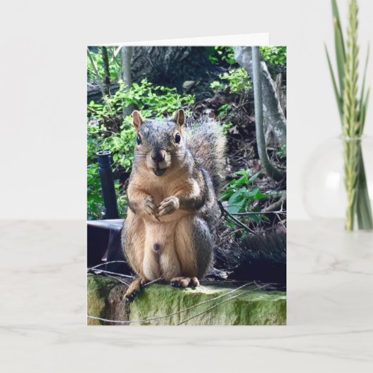 Funny Squirrel Deez naakt aangepaste tekst op zate Kaart (Voorkant)