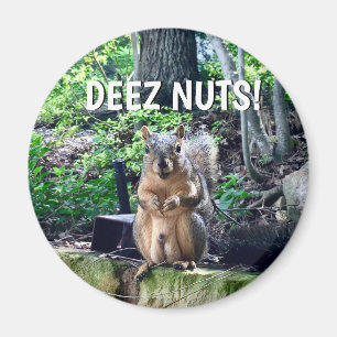 Funny Squirrel Deez Nuts ongeschikte foto van Humo Magneet