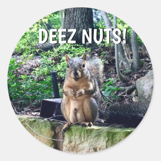 Funny Squirrel Deez Nuts ongeschikte foto van Humo Ronde Sticker (Voorkant)