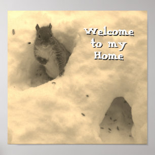 Funny Squirrel Gezegde Poster