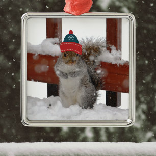 Funny Squirrel in Snowflake Baseball Pet Ornament