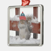 Funny Squirrel in Snowflake Baseball Pet Ornament (Links)