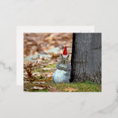 Funny Squirrel Père Noël carte postale de Noël (Recto/Verso)
