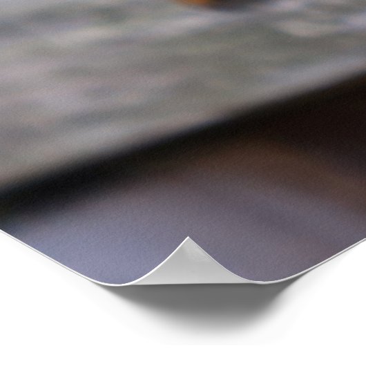 Funny Squirrel Poster (Hoek)