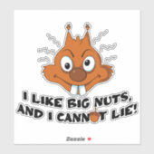 Funny Squirrel Pun Sticker (Vel)