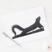Funny Squirrel Stickers (Envelop)
