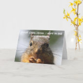 Funny Squirrel Verjaardag Kaart (Gele Bloem)